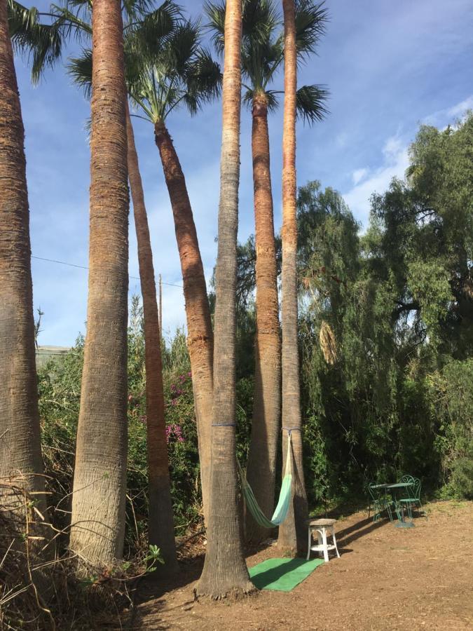 Casa Rural Paloma ベナハラフェ エクステリア 写真